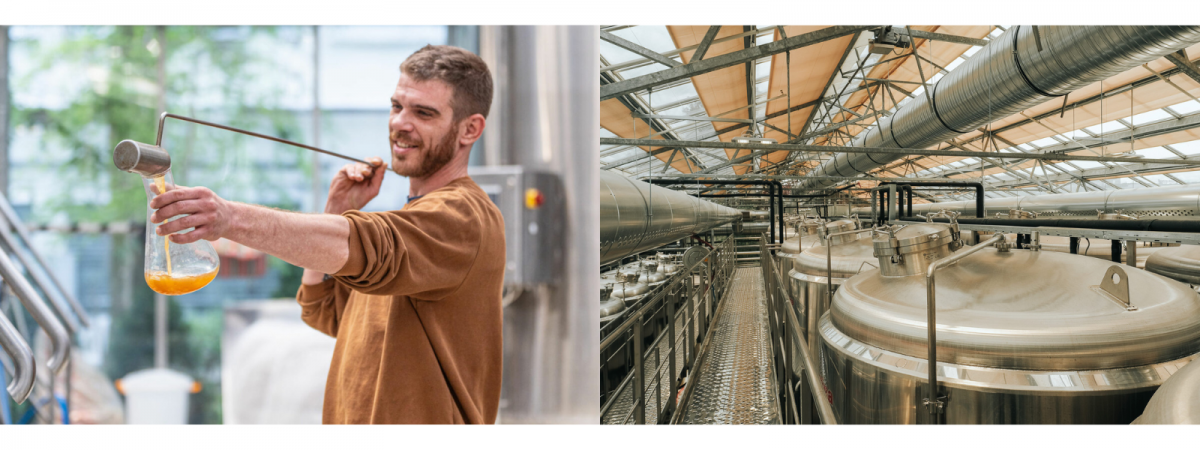 Social - Brewery 1.png